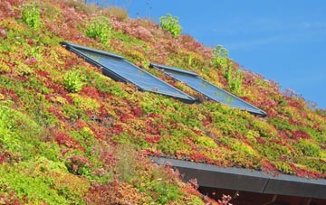 Hooley Bridge living roof systems